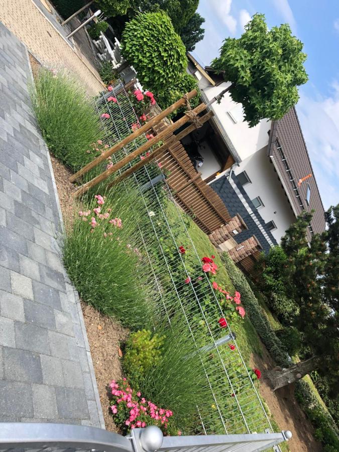 Ferienhaus Gluecksmoment Blankenburg  Exterior photo